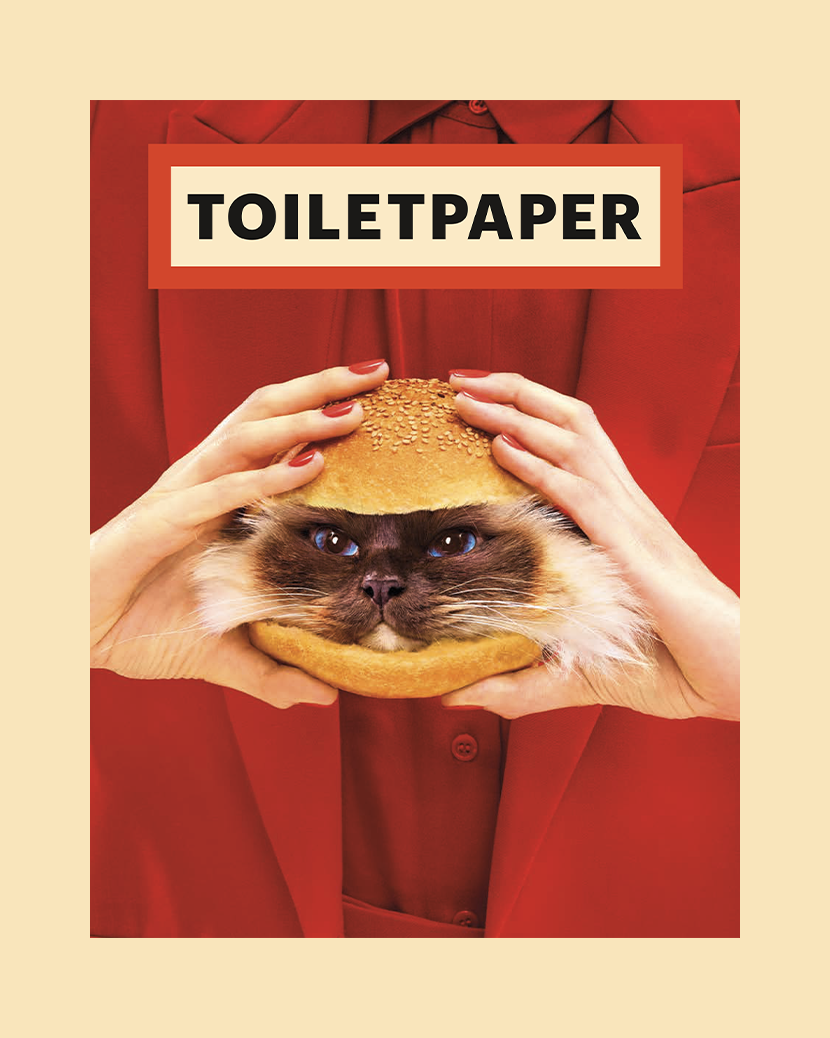 美品】TOILETPAPER MAGAZINE N°10 - DECEMBER TOILETPAPER 美品】TOILETPAPER MAGAZINE N°10 - DECEMBER TOILETPAPER