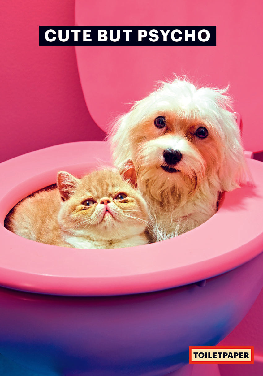 Poster cat and dog