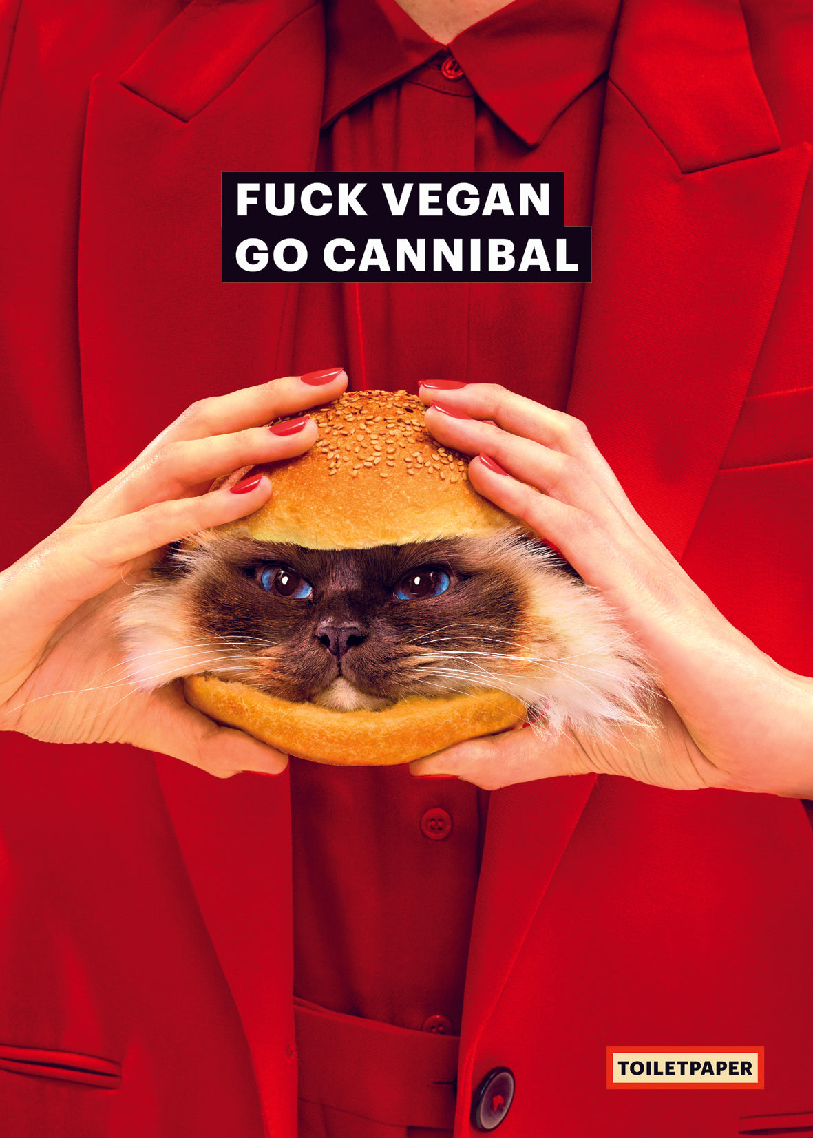 Poster cat sandwich