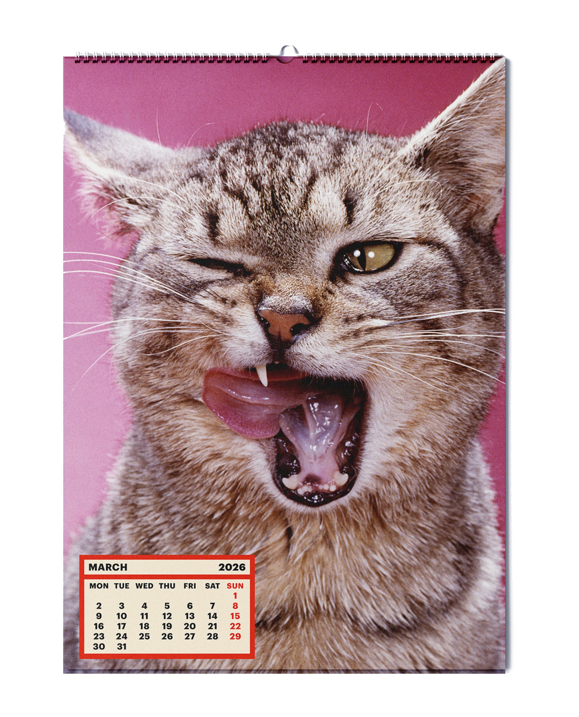 TOILETPAPER CALENDAR 2026