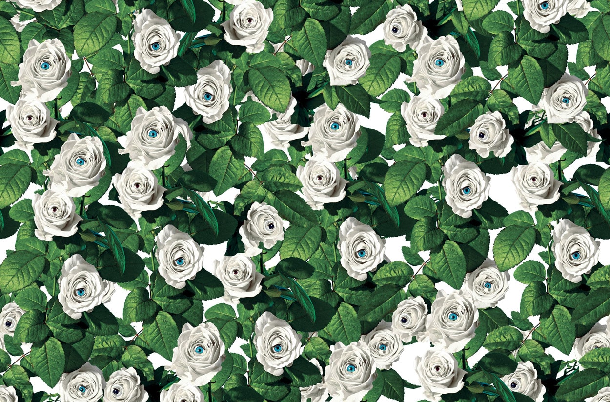 ROSES2-min