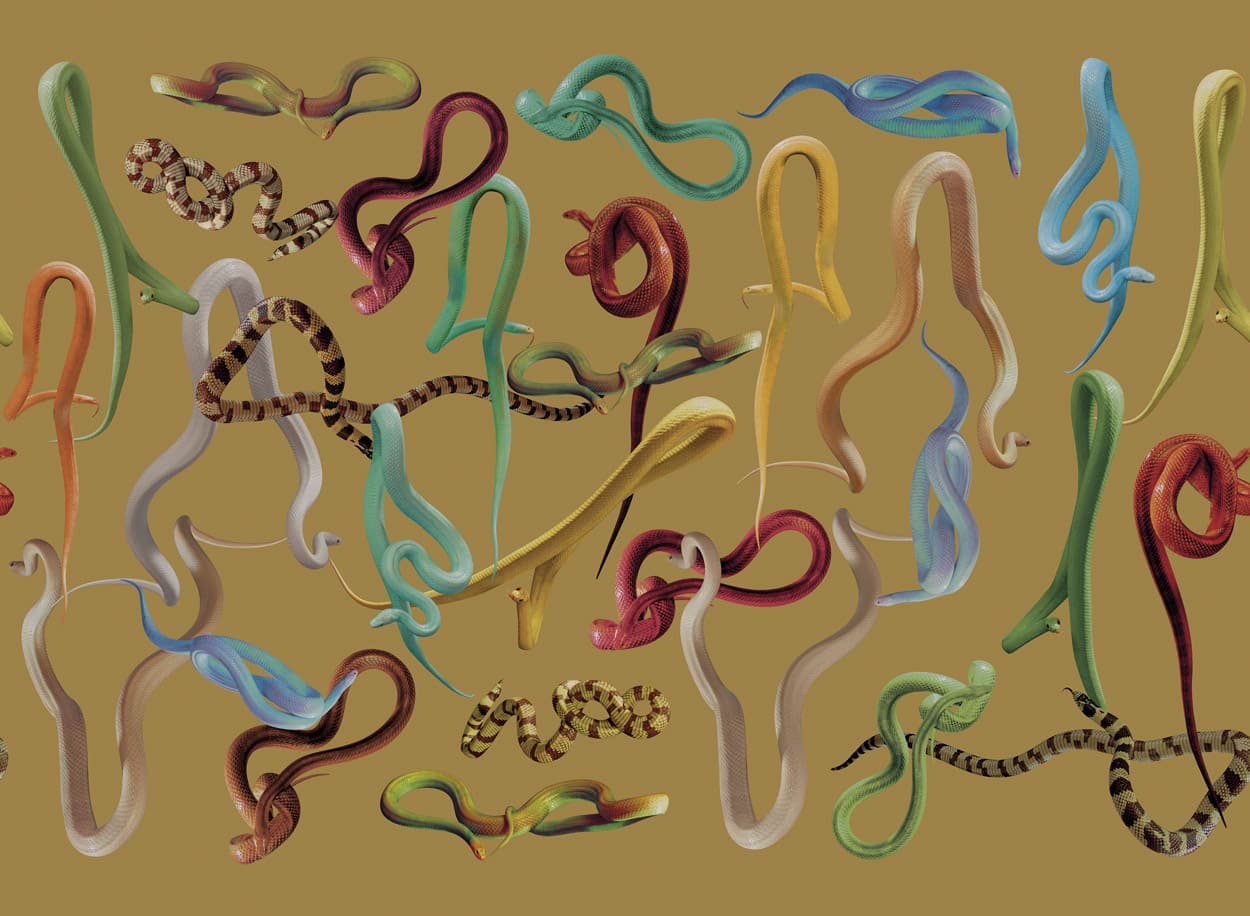 SNAKES-GOLD