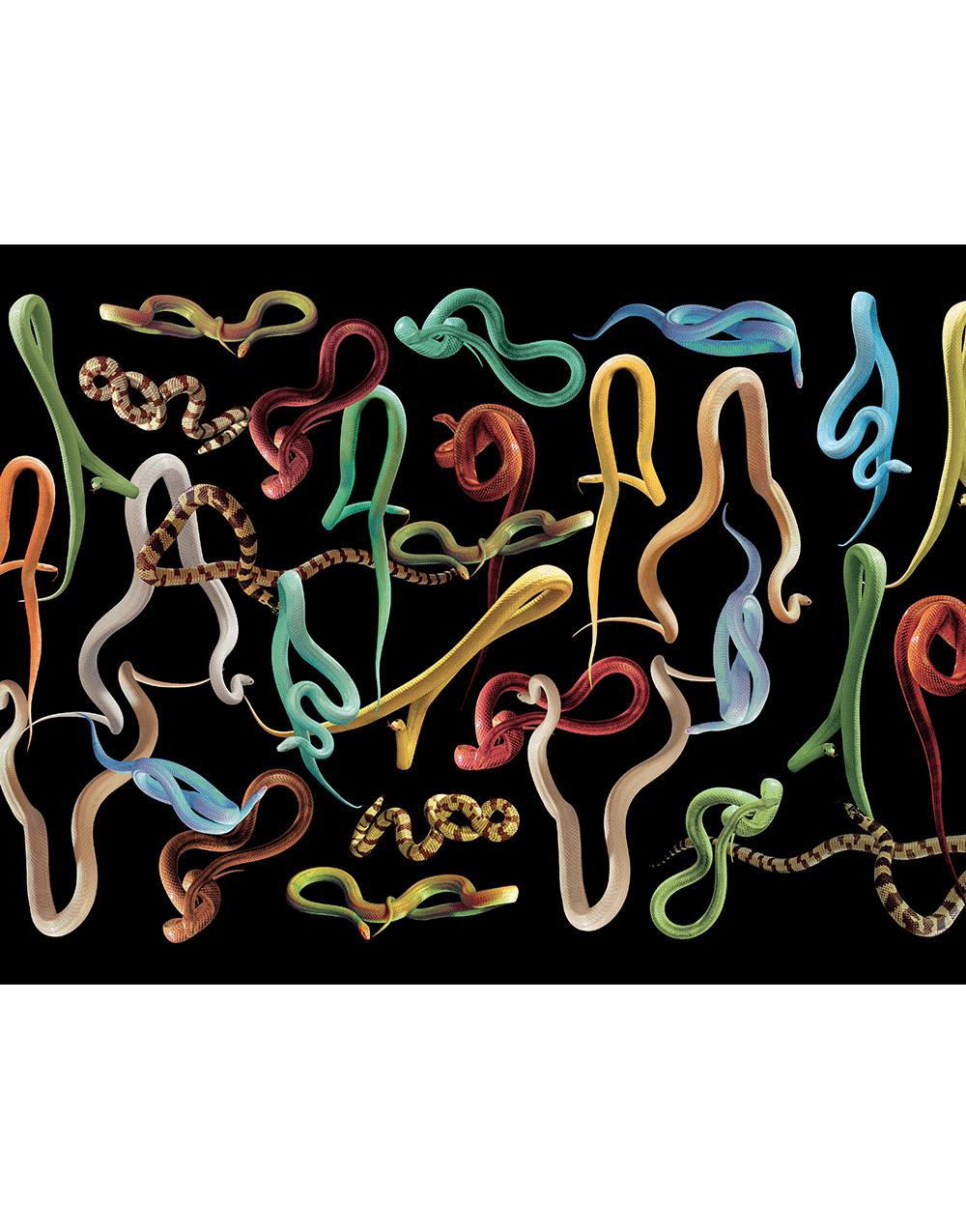 Wallpaper SNAKES STORM