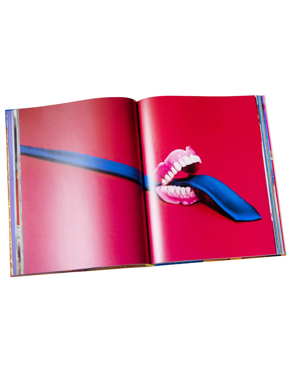 TOILETMARTIN PAPERPARR | Collector's Edition