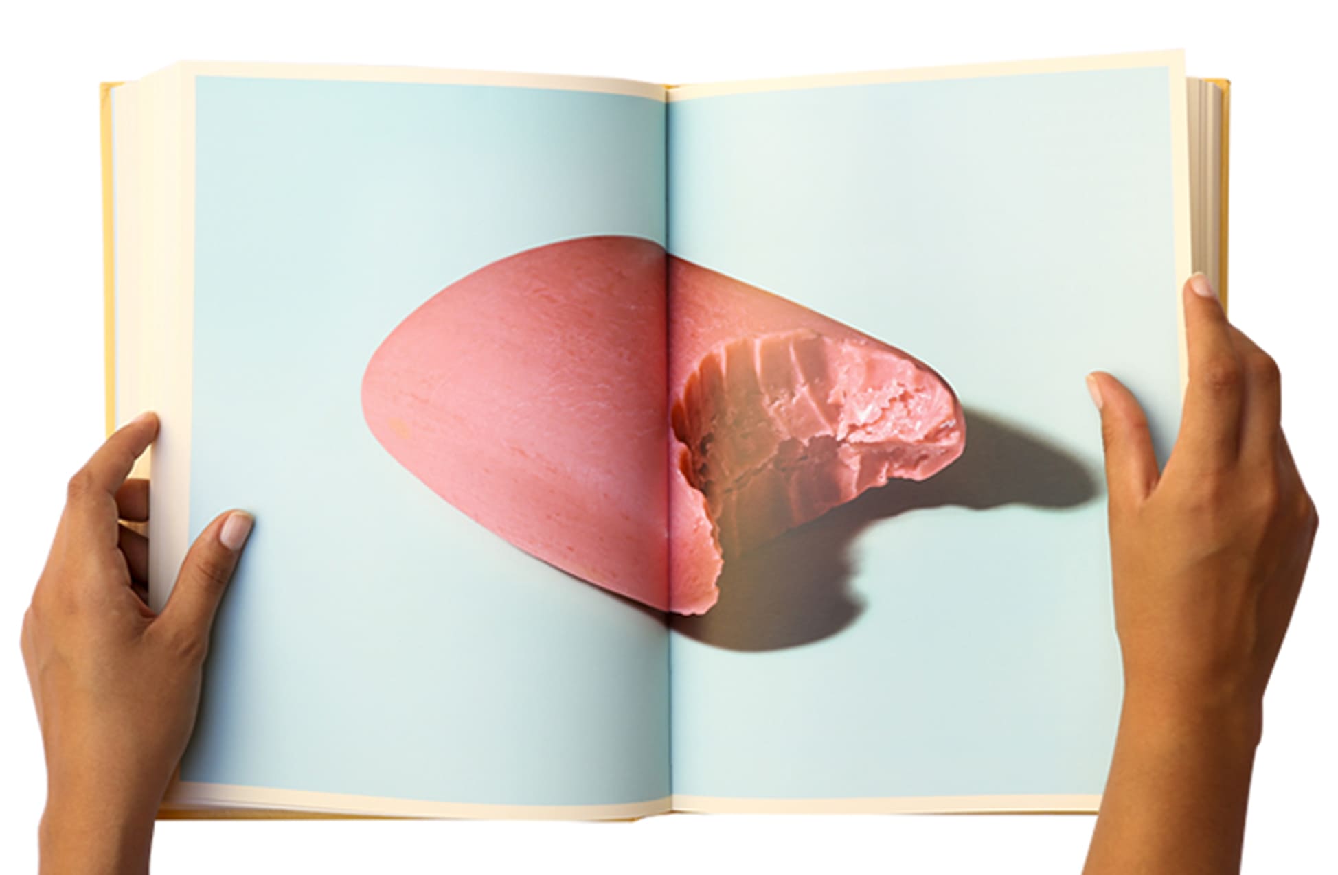toiletpaper-book-volume-5