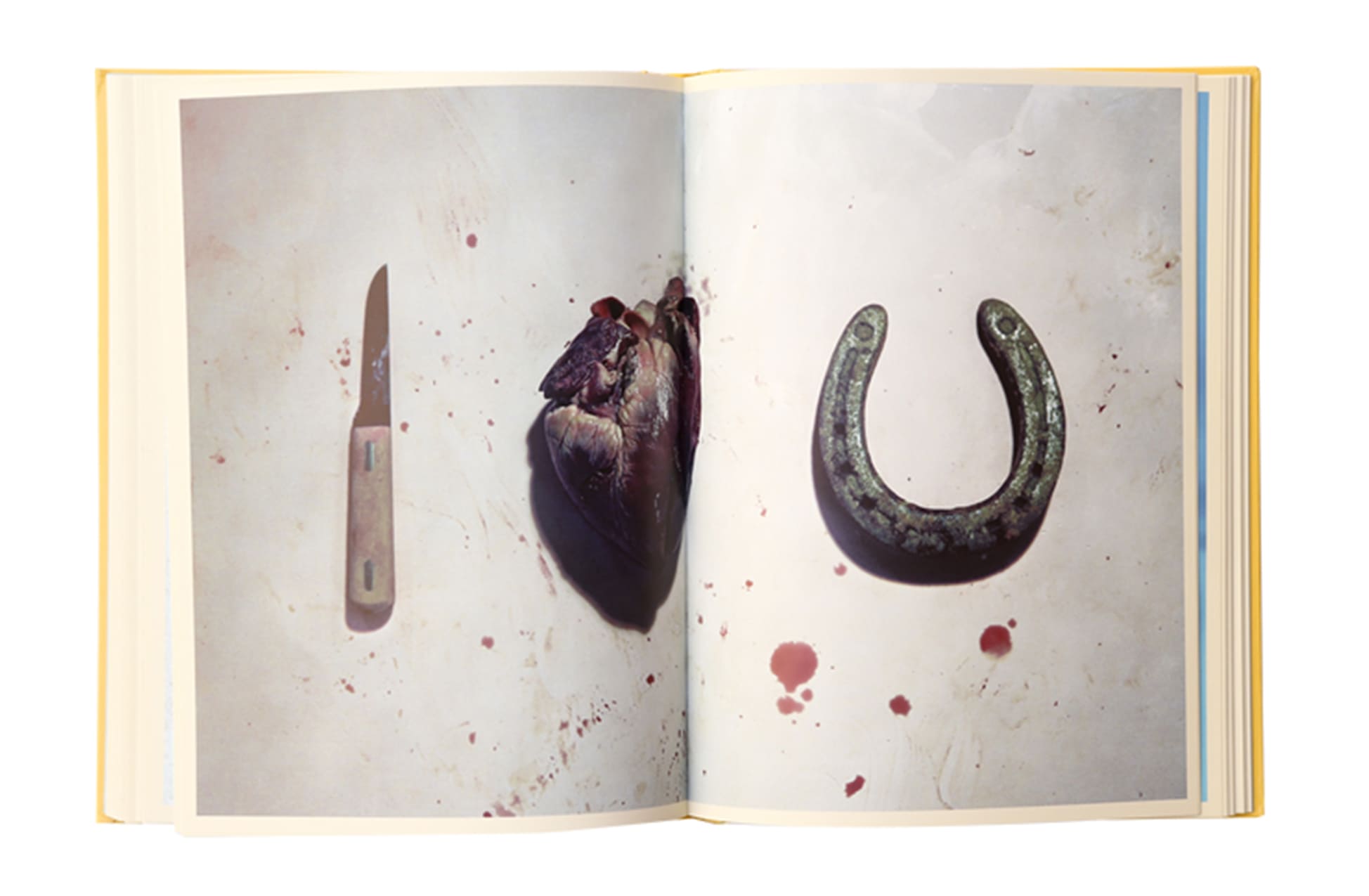 toiletpaper-book-volume-6
