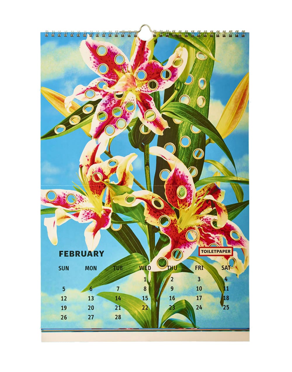 toiletpaper-calendar-2017-02