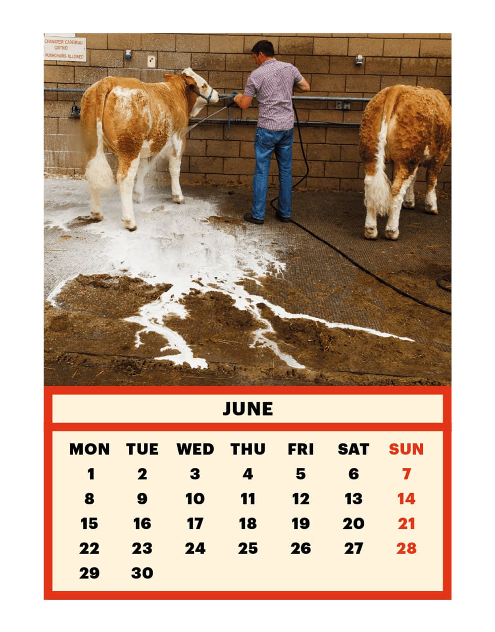 toiletpaper-calendar-2020-06