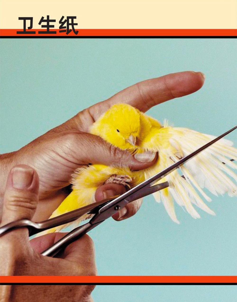 TOILETPAPER MAGAZINE BAZAAR ART - SPECIAL EDITION