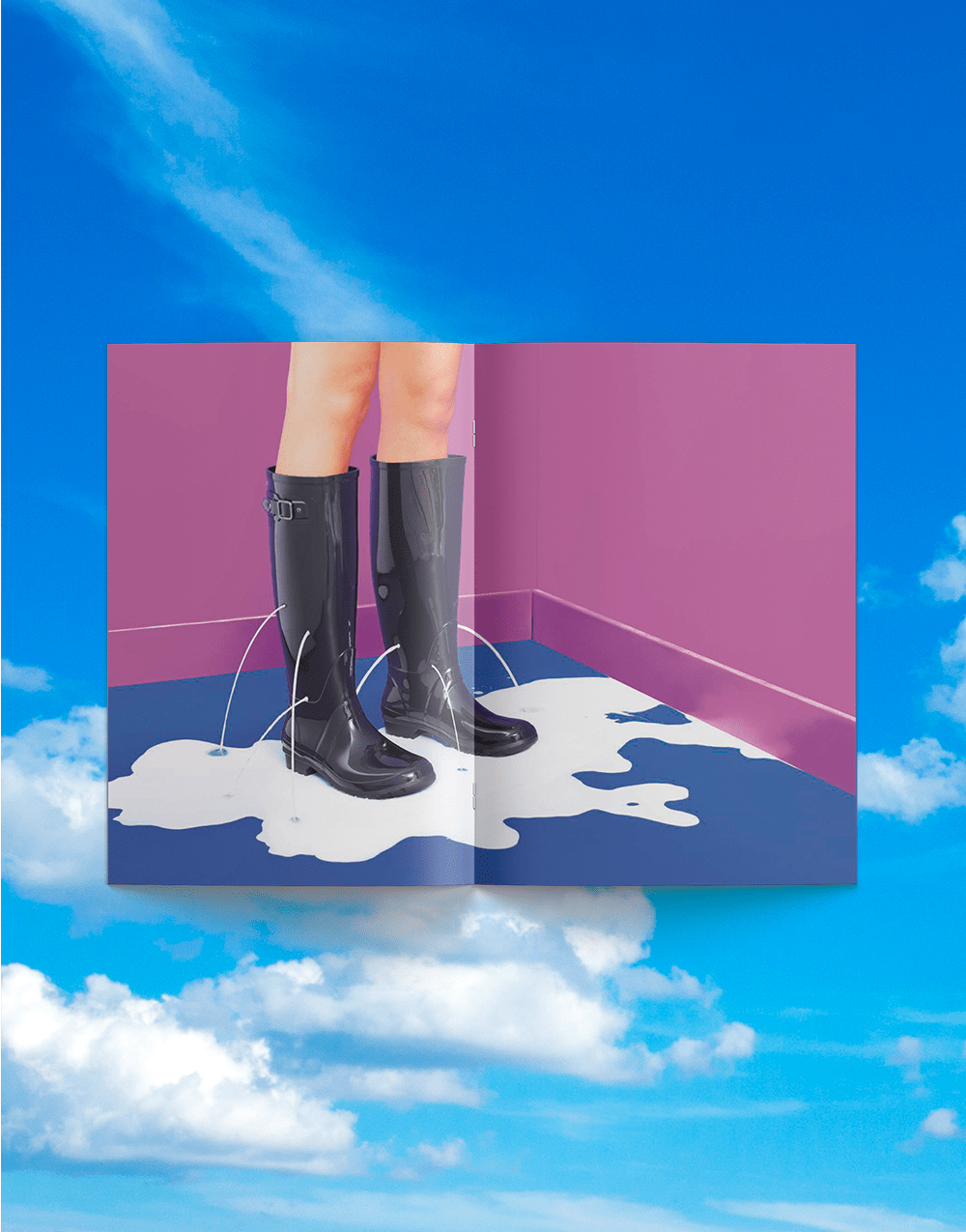 TOILETPAPER MAGAZINE N.20