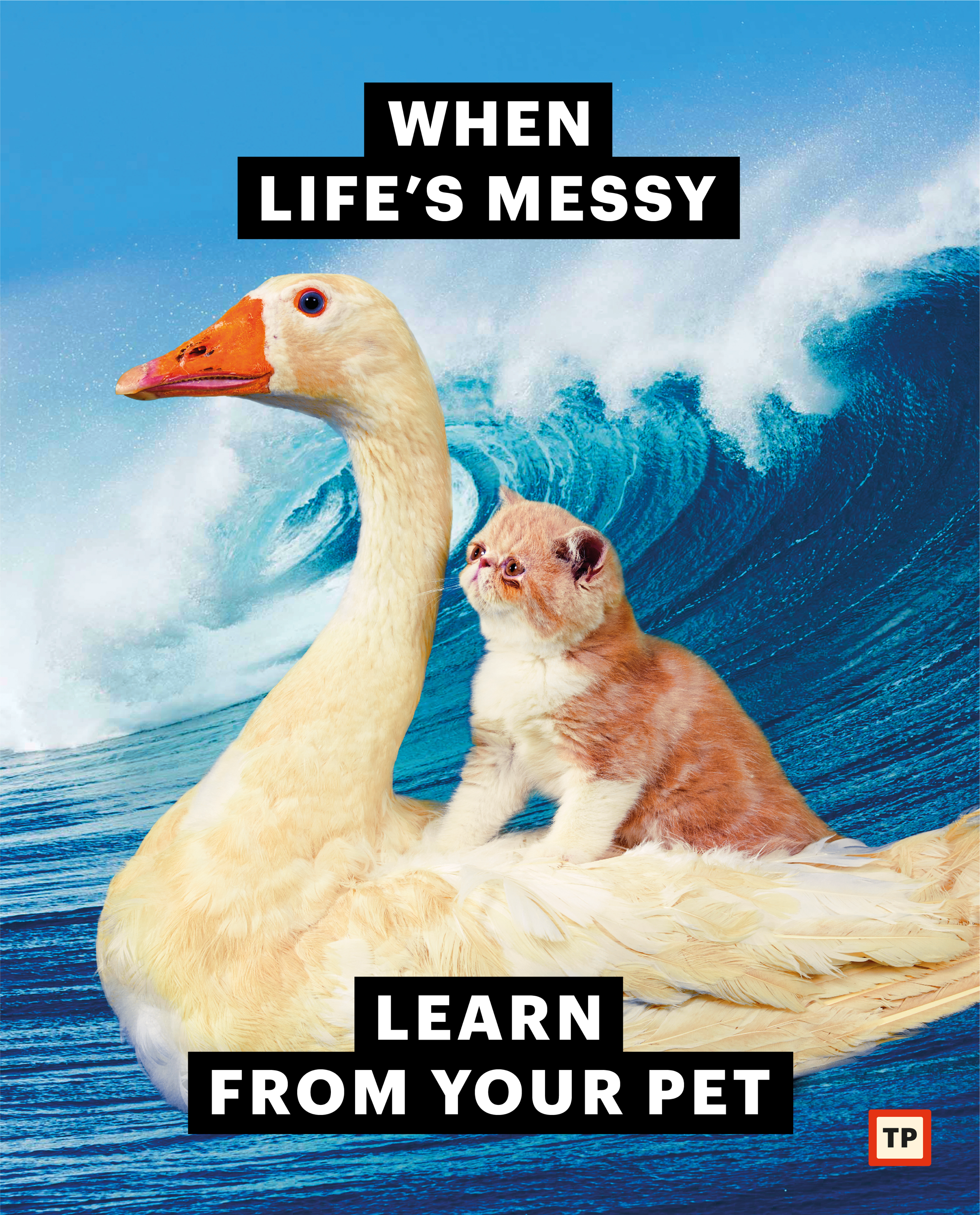 GOLDEN RULE POSTER