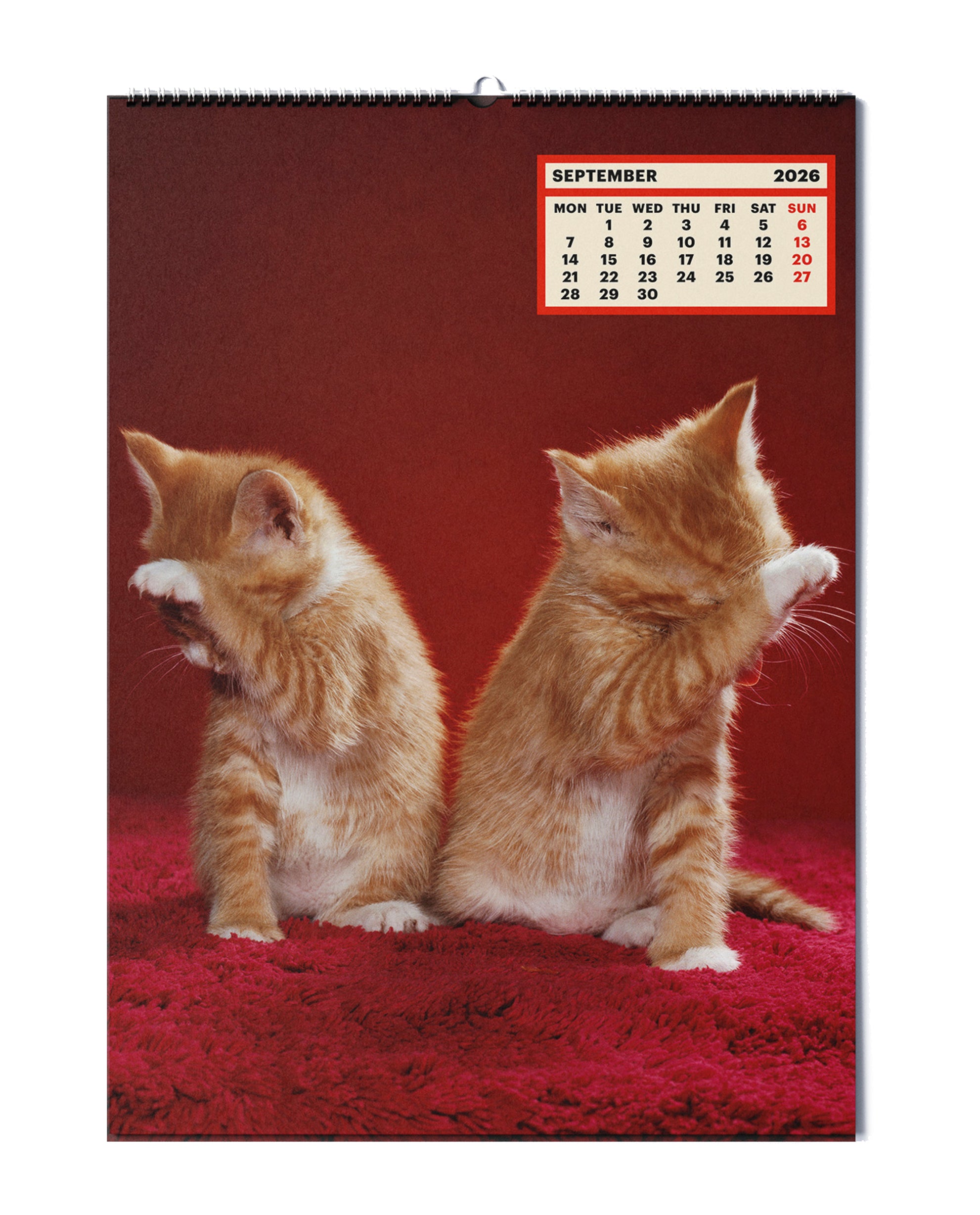 TOILETPAPER CALENDAR 2026