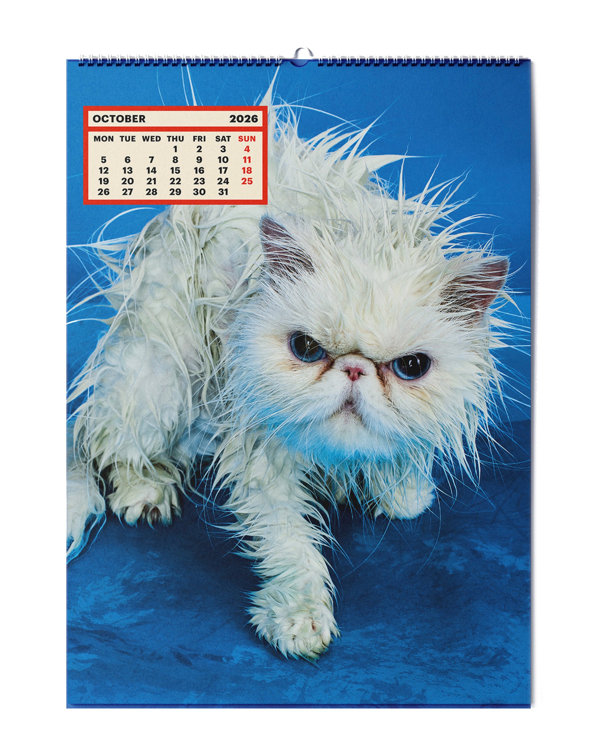 TOILETPAPER CALENDAR 2026